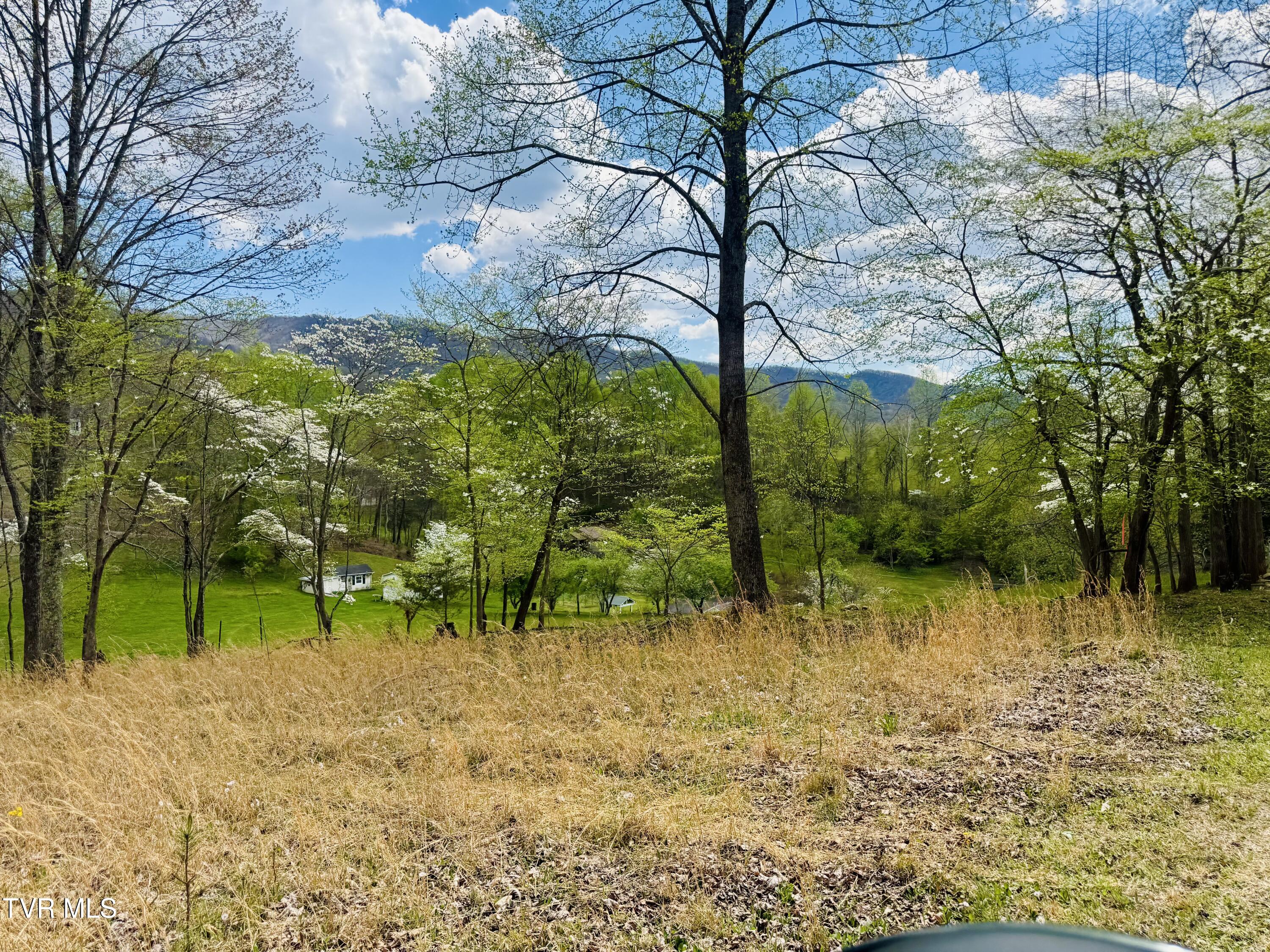 160 Bobs Hollow Road Elizabethton, TN 37643 - Photo 27 of 31 IMG_0840