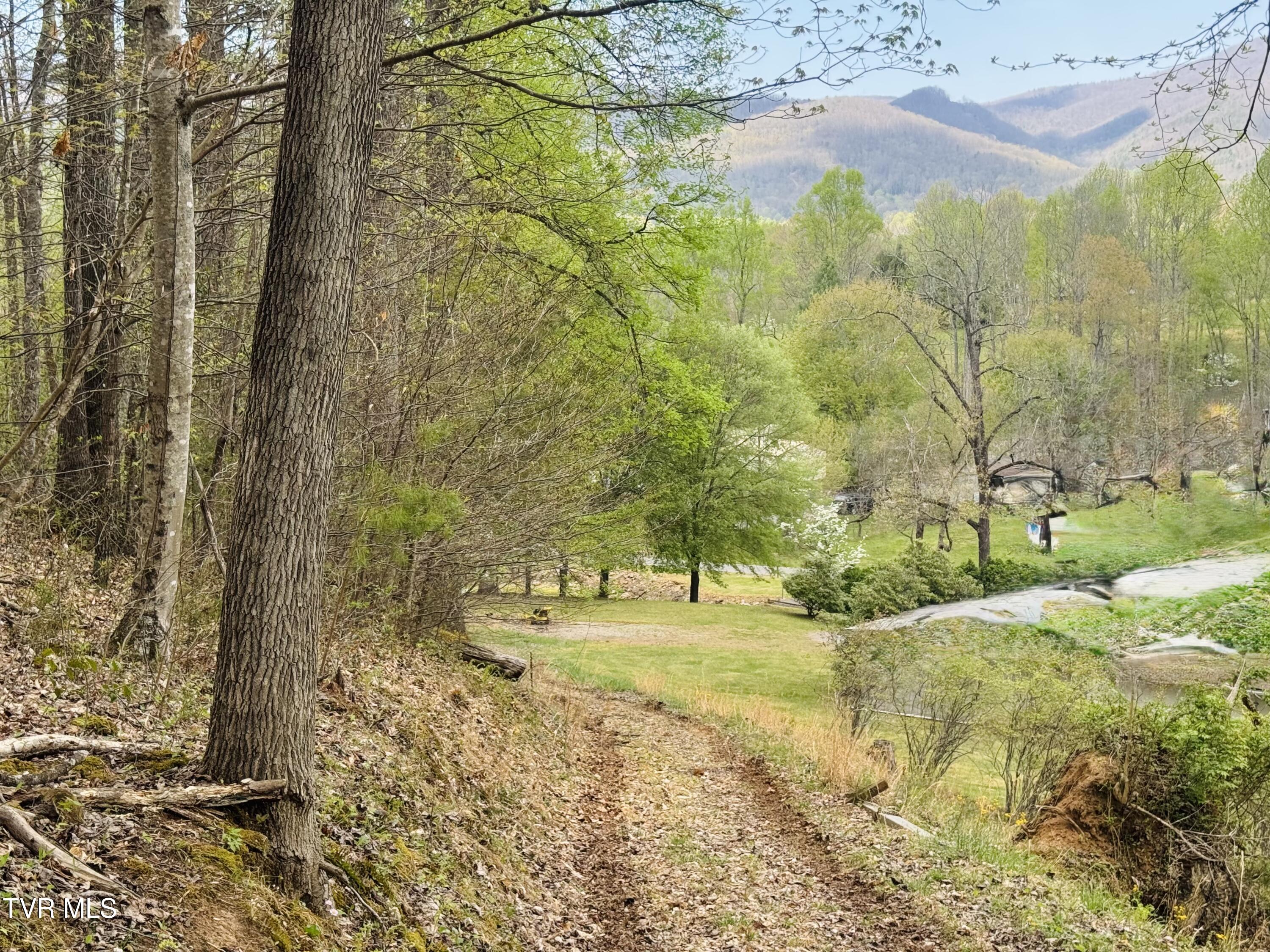 160 Bobs Hollow Road Elizabethton, TN 37643 - Photo 3 of 31 IMG_0854