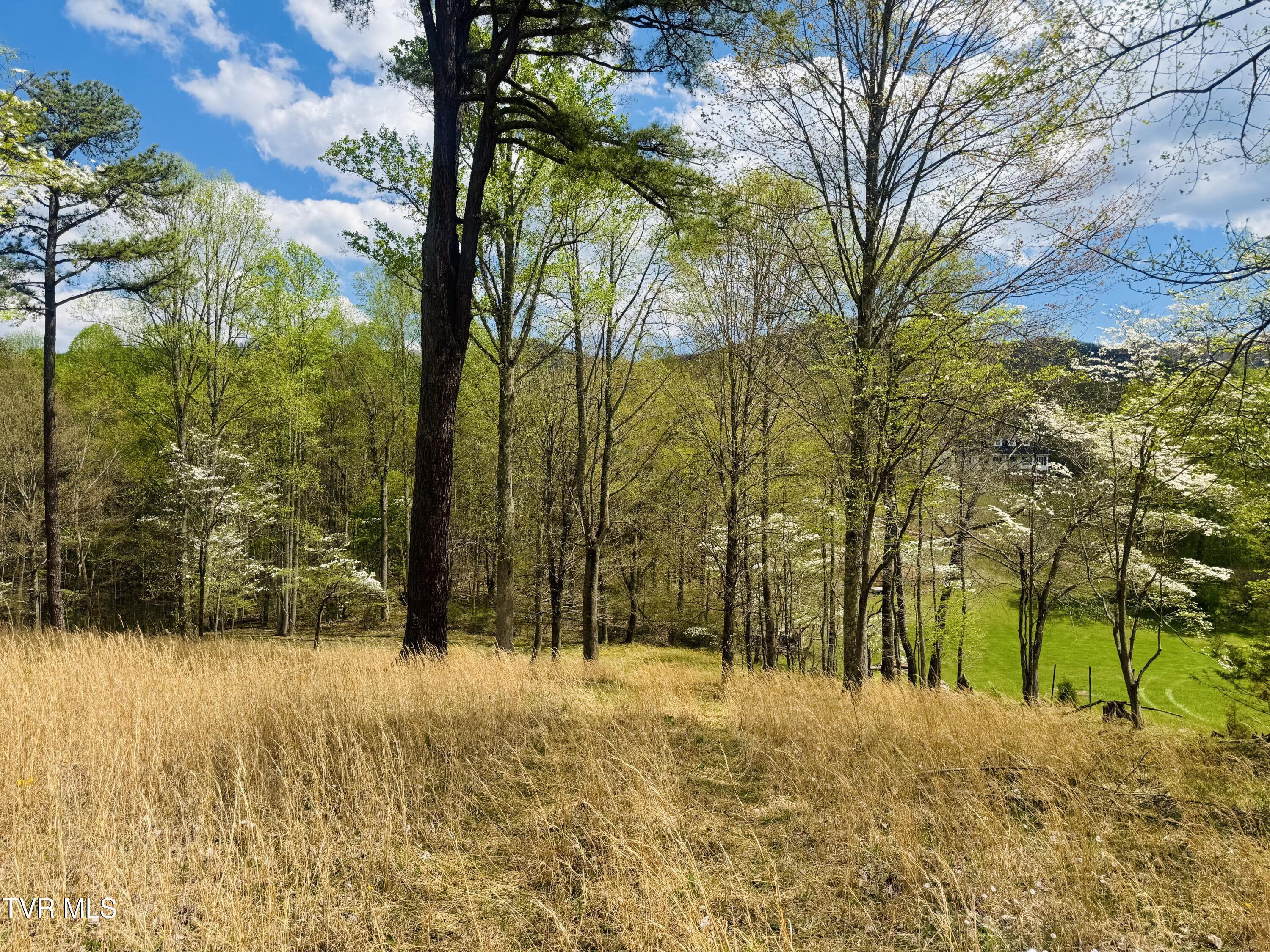 160 Bobs Hollow Road Elizabethton, TN 37643 - Photo 31 of 31 IMG_0835