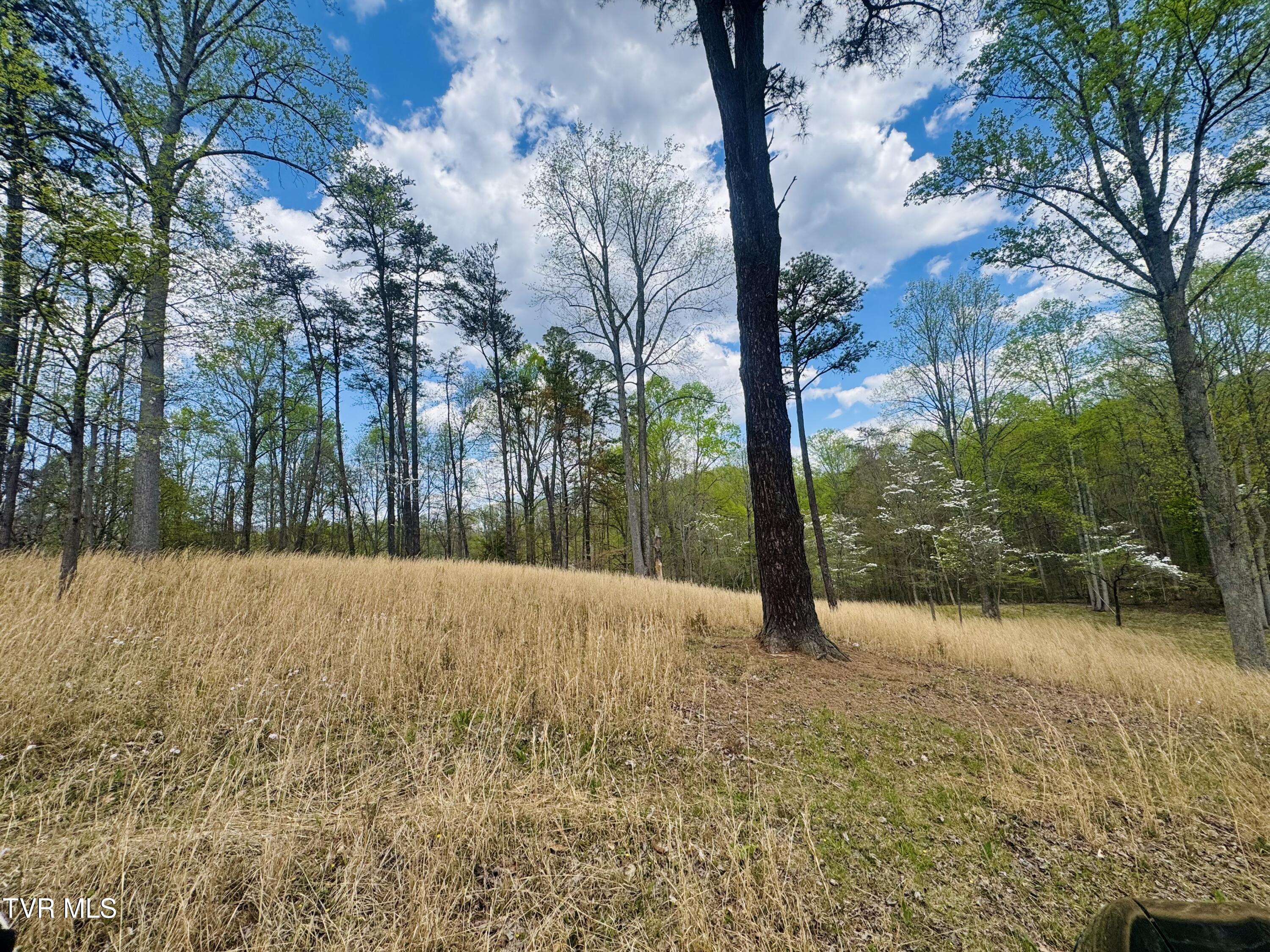 160 Bobs Hollow Road Elizabethton, TN 37643 - Photo 4 of 31 IMG_0849