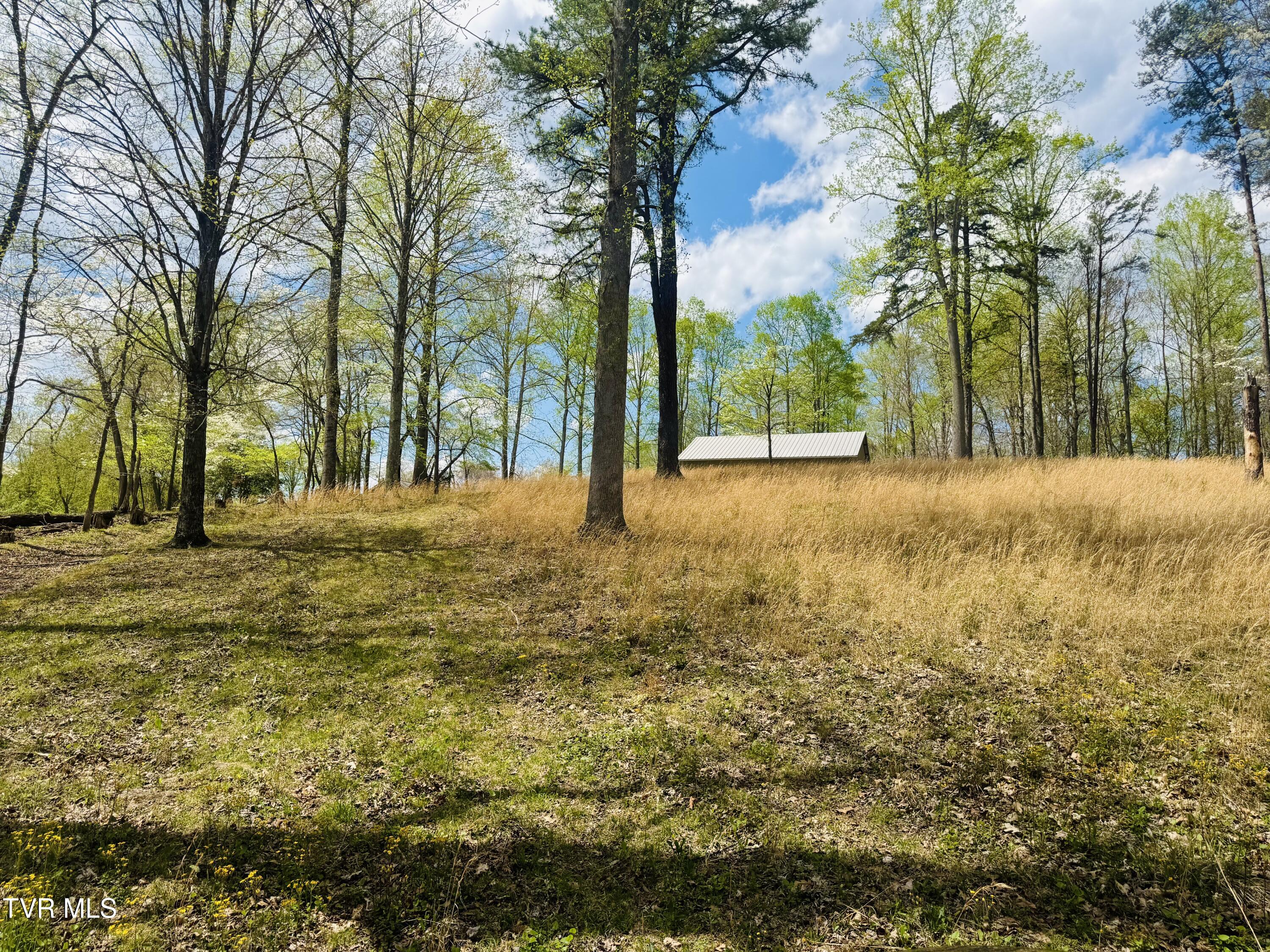 160 Bobs Hollow Road Elizabethton, TN 37643 - Photo 10 of 31 IMG_0832