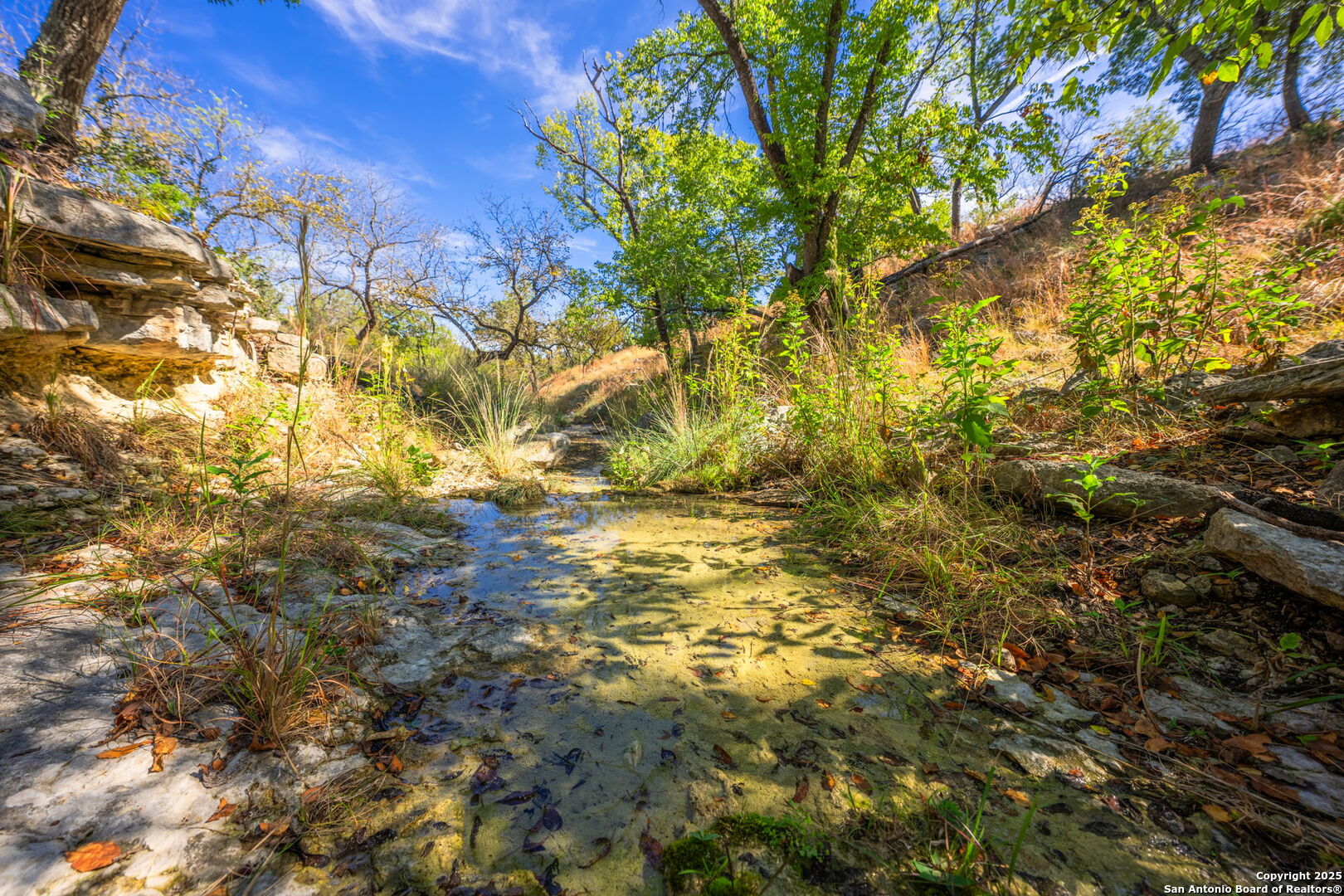 131 Bootlegger Lane North Kerrville, TX 78028 - Photo 4 of 50 a view of yard with large trees