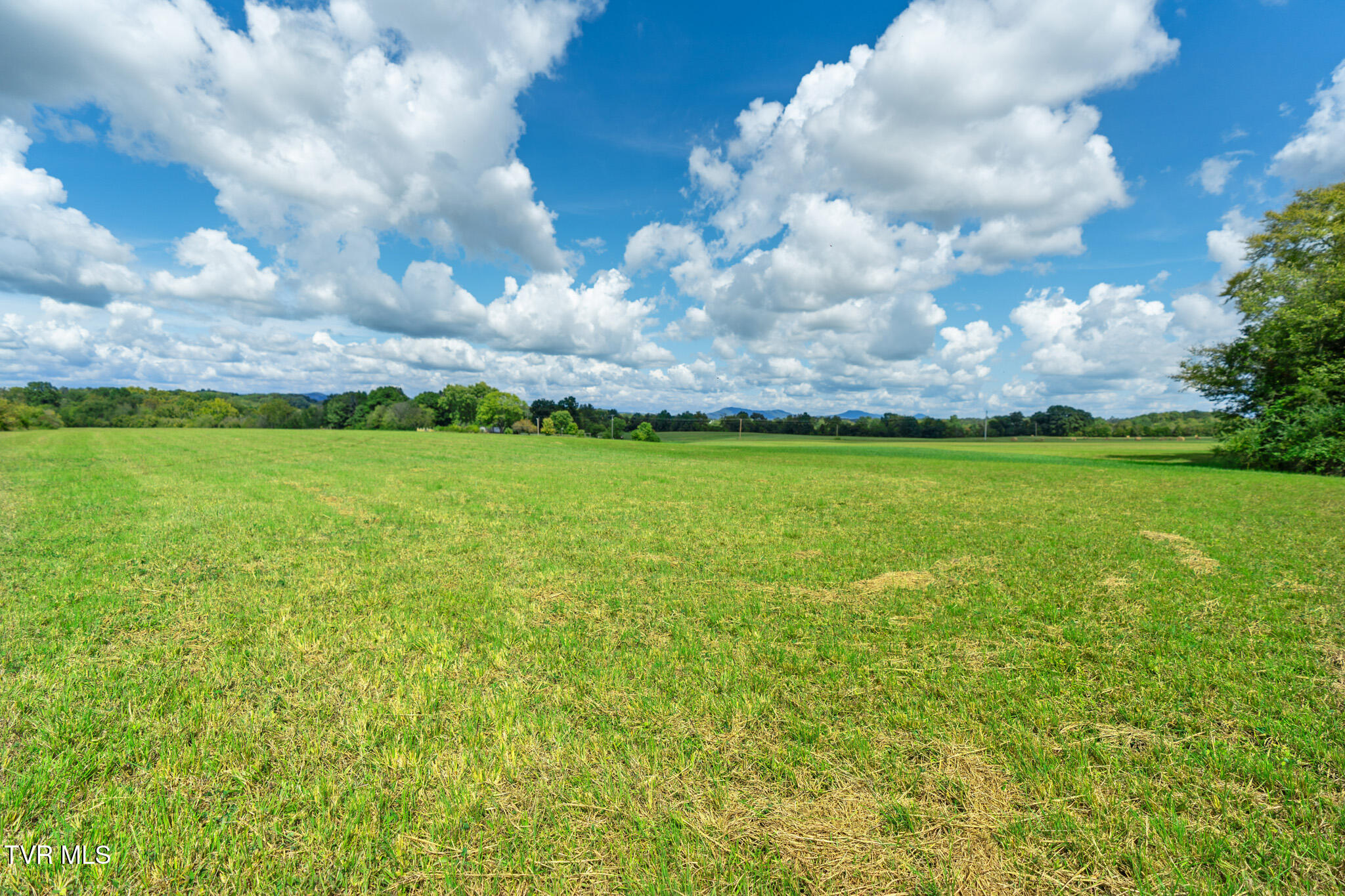 2 John Graham Road Greeneville, TN 37745 - Photo 7 of 9 John Graham-11