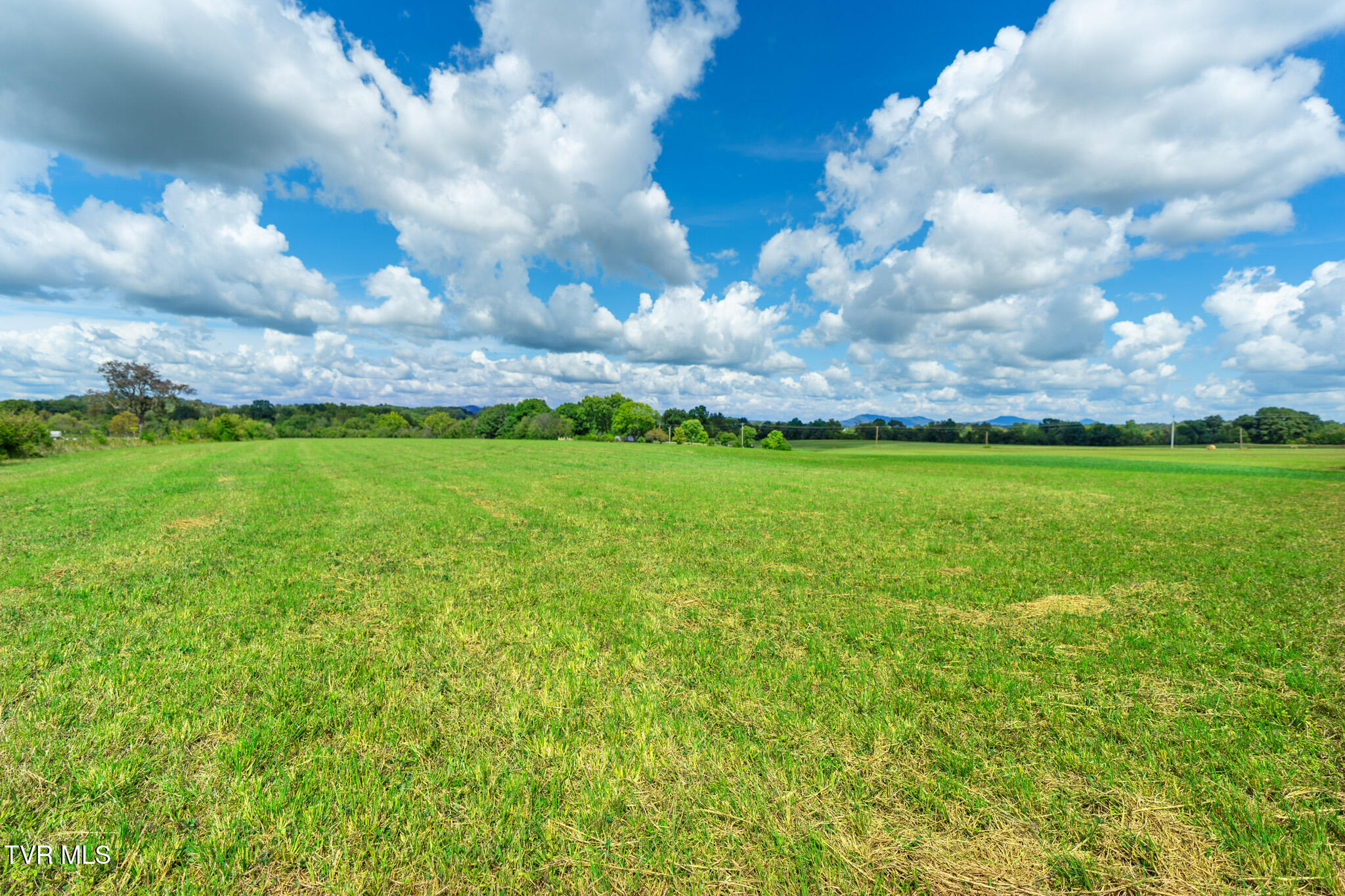 2 John Graham Road Greeneville, TN 37745 - Photo 8 of 9 John Graham-12