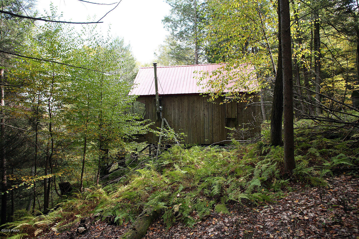 1444 Callicoon Road Damascus, PA 18415 - Photo 34 of 45 IMG_4920