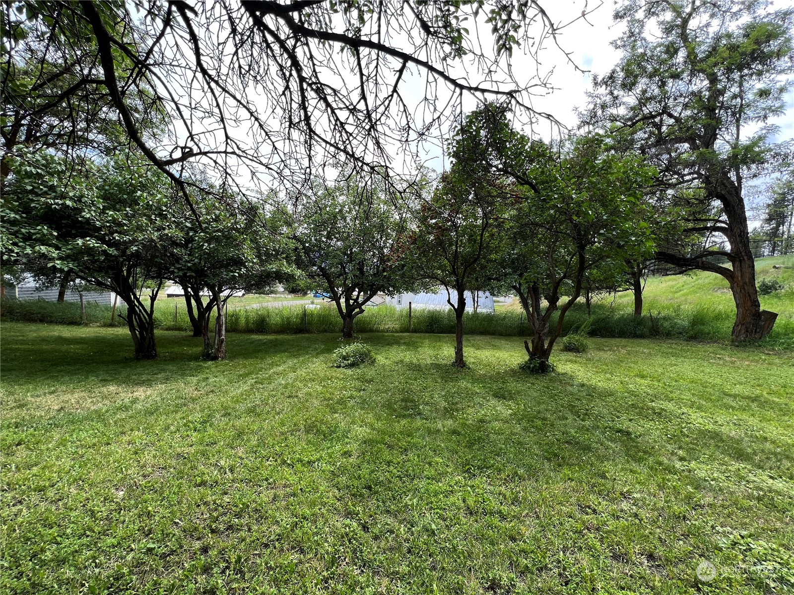 50 Klondike Road Republic, WA 99166 - Photo 12 of 18 a view of park