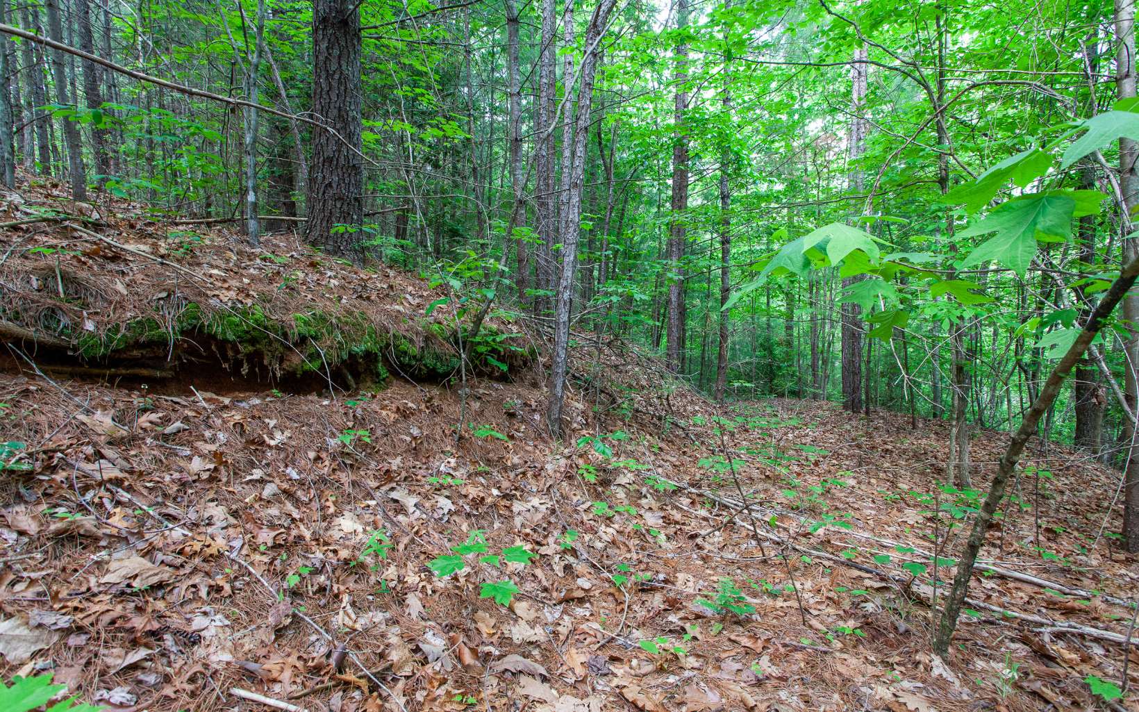 0 Mountain View Road Murphy, NC 28906 - Photo 8 of 22 Additional View