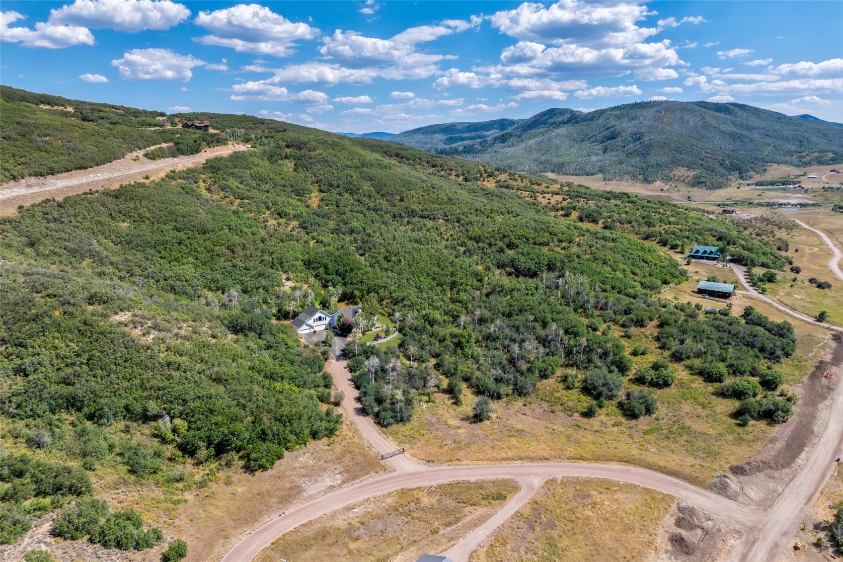 26000 High Ridge Drive Steamboat Springs, CO 80487 - Photo 48 of 48 a view of a yard with a tree