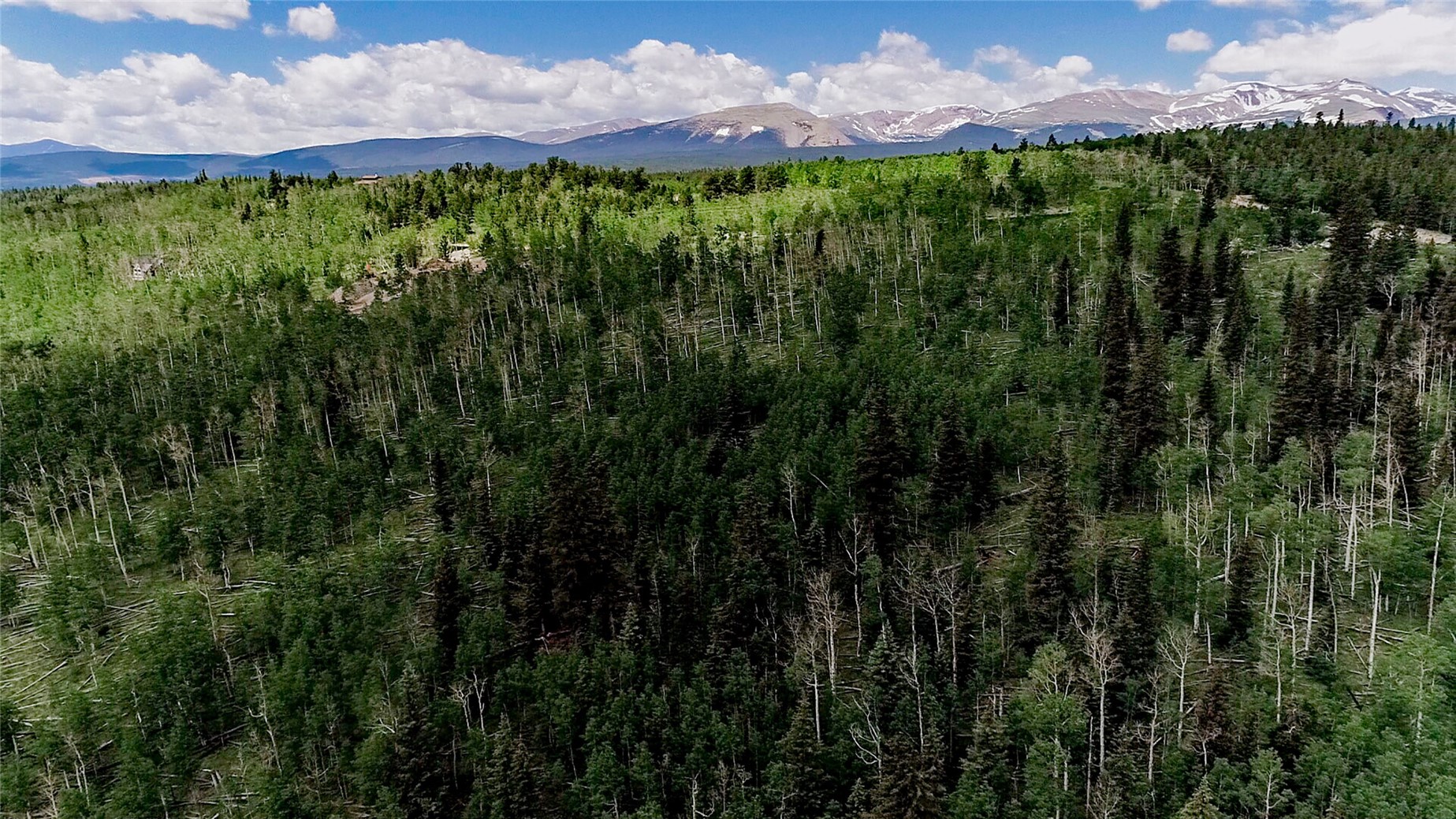 1047 Lumberjack Road Fairplay, CO 80440 - Photo 10 of 27 a view of a city with lush green forest