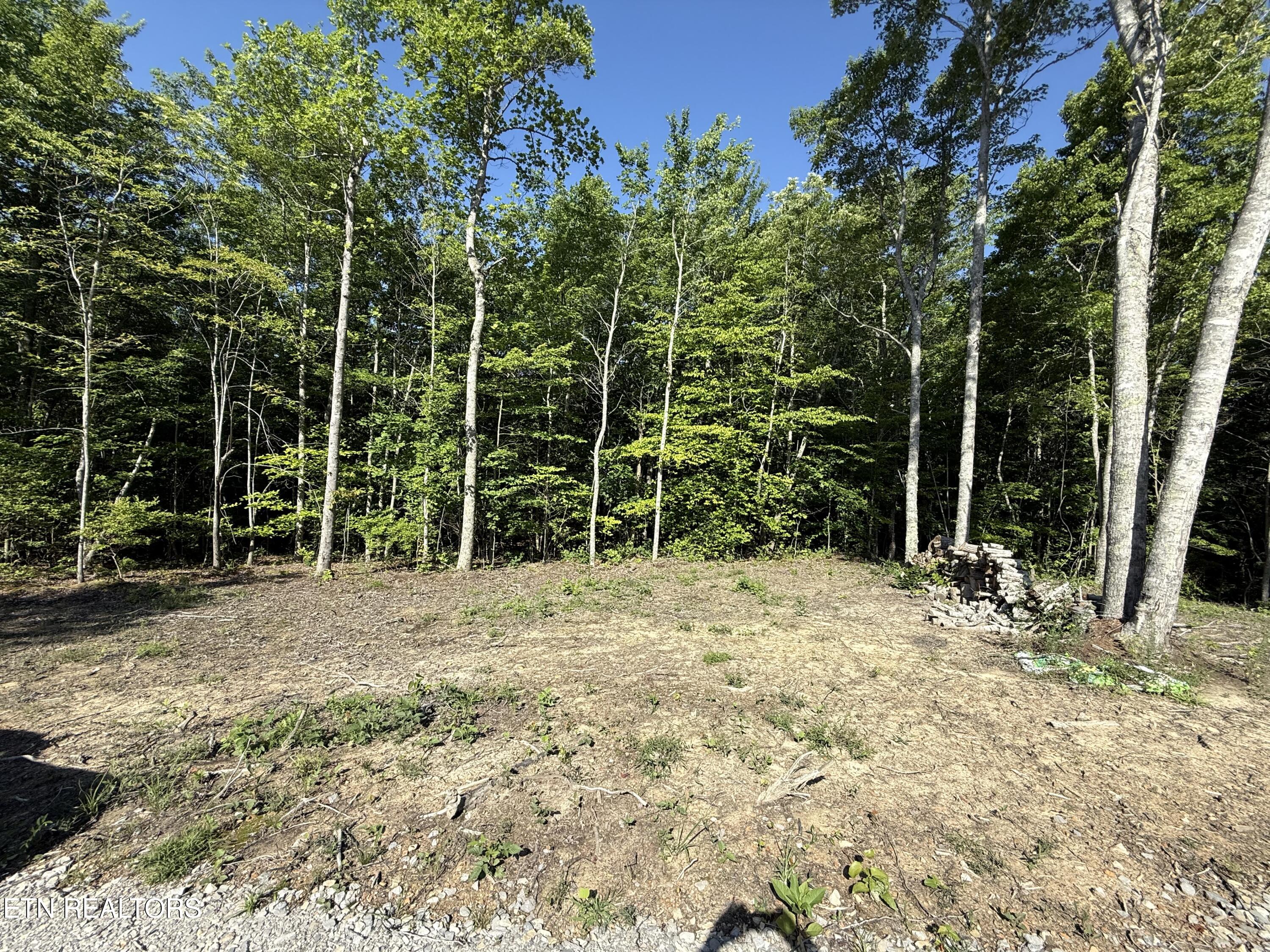 969 Lewallen Road Sunbright, TN 37872 - Photo 8 of 21 IMG_4303