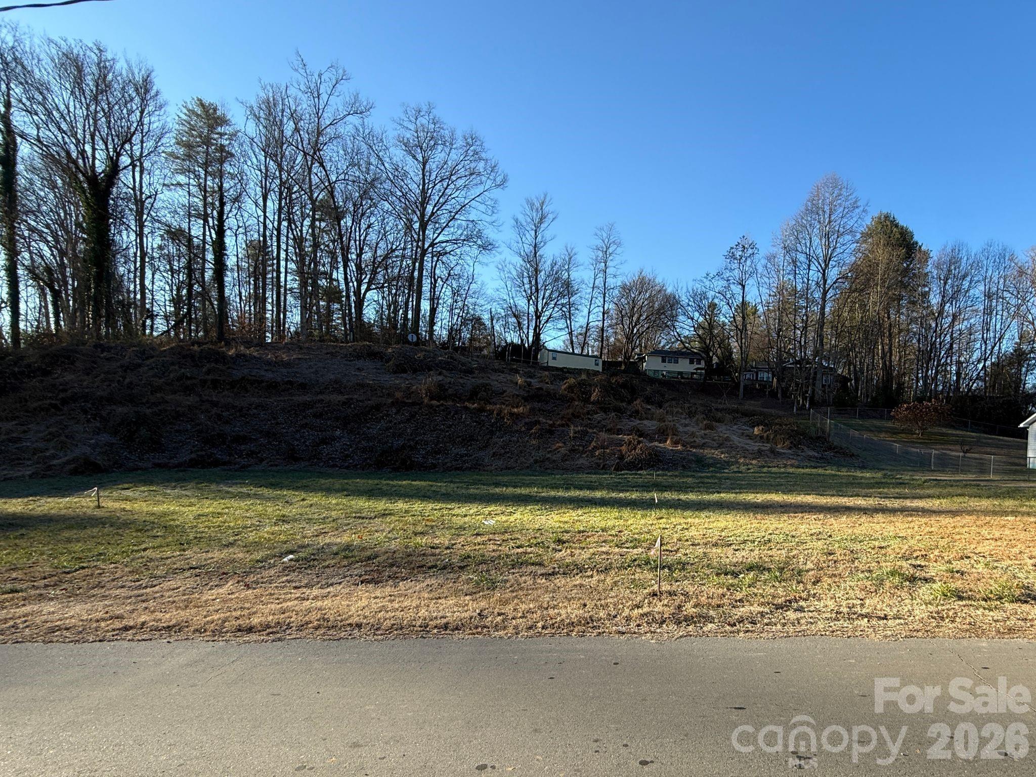 0 Whitmire Street Brevard, NC 28712 - Photo 4 of 5 a view of a water fountain in front of a house
