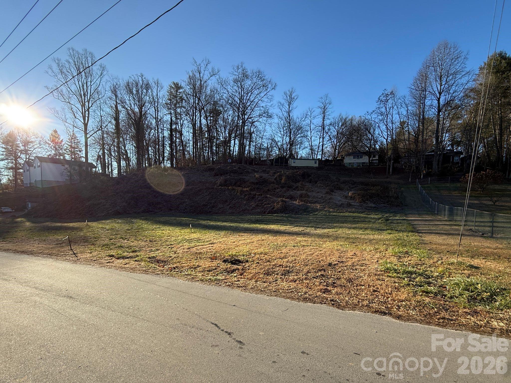 0 Whitmire Street Brevard, NC 28712 - Photo 5 of 5 a view of a backyard with trees