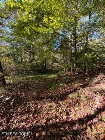 $184,900 | 739 Dry Branch Road, Ewing, VA 24248