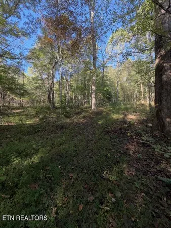 $184,900 | 739 Dry Branch Road, Ewing, VA 24248