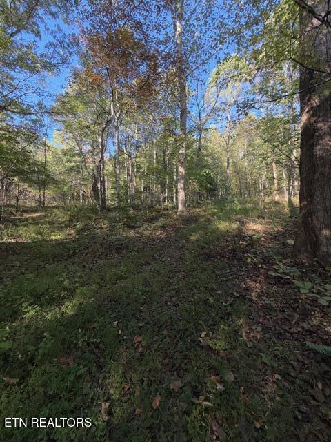 739 Dry Branch Road Ewing, VA 24248 - Photo 16 of 53 IMG_0053