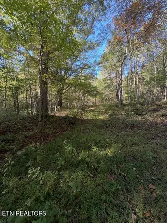 $184,900 | 739 Dry Branch Road, Ewing, VA 24248