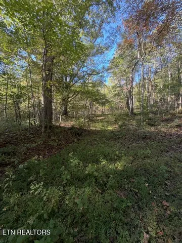 $184,900 | 739 Dry Branch Road, Ewing, VA 24248