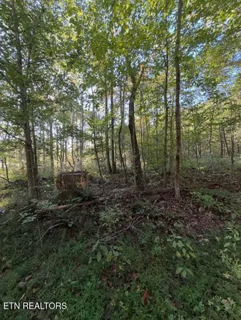 $184,900 | 739 Dry Branch Road, Ewing, VA 24248