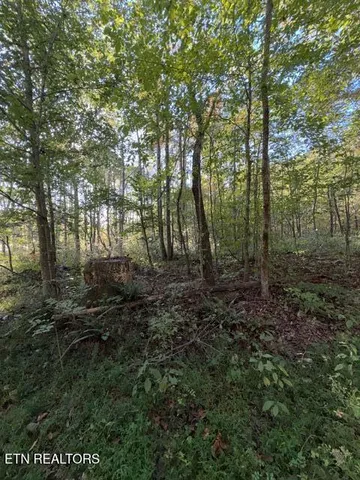 $184,900 | 739 Dry Branch Road, Ewing, VA 24248