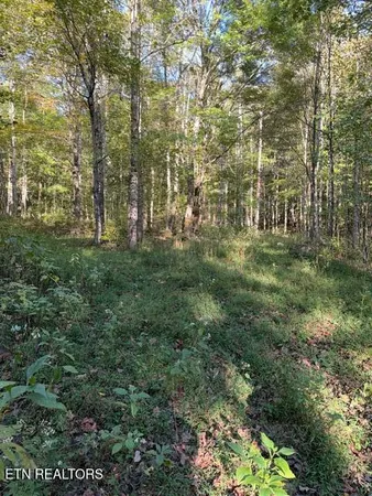 $184,900 | 739 Dry Branch Road, Ewing, VA 24248