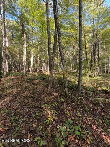 $184,900 | 739 Dry Branch Road, Ewing, VA 24248