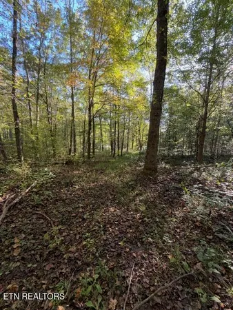 $184,900 | 739 Dry Branch Road, Ewing, VA 24248