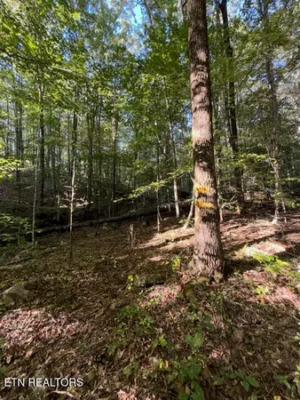 $184,900 | 739 Dry Branch Road, Ewing, VA 24248