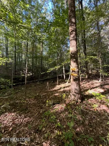 $184,900 | 739 Dry Branch Road, Ewing, VA 24248