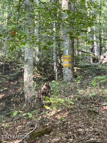 $184,900 | 739 Dry Branch Road, Ewing, VA 24248