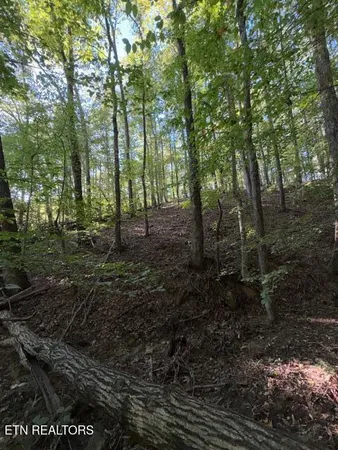 $184,900 | 739 Dry Branch Road, Ewing, VA 24248