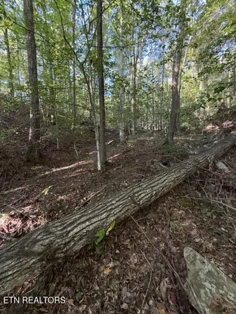 $184,900 | 739 Dry Branch Road, Ewing, VA 24248