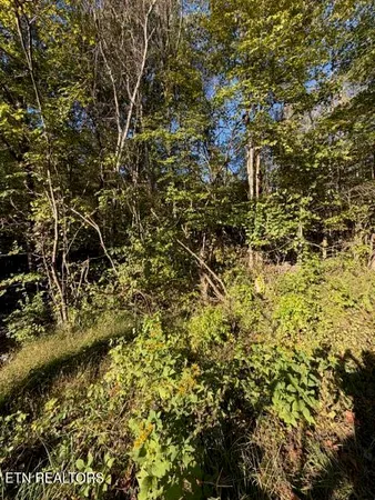 $184,900 | 739 Dry Branch Road, Ewing, VA 24248