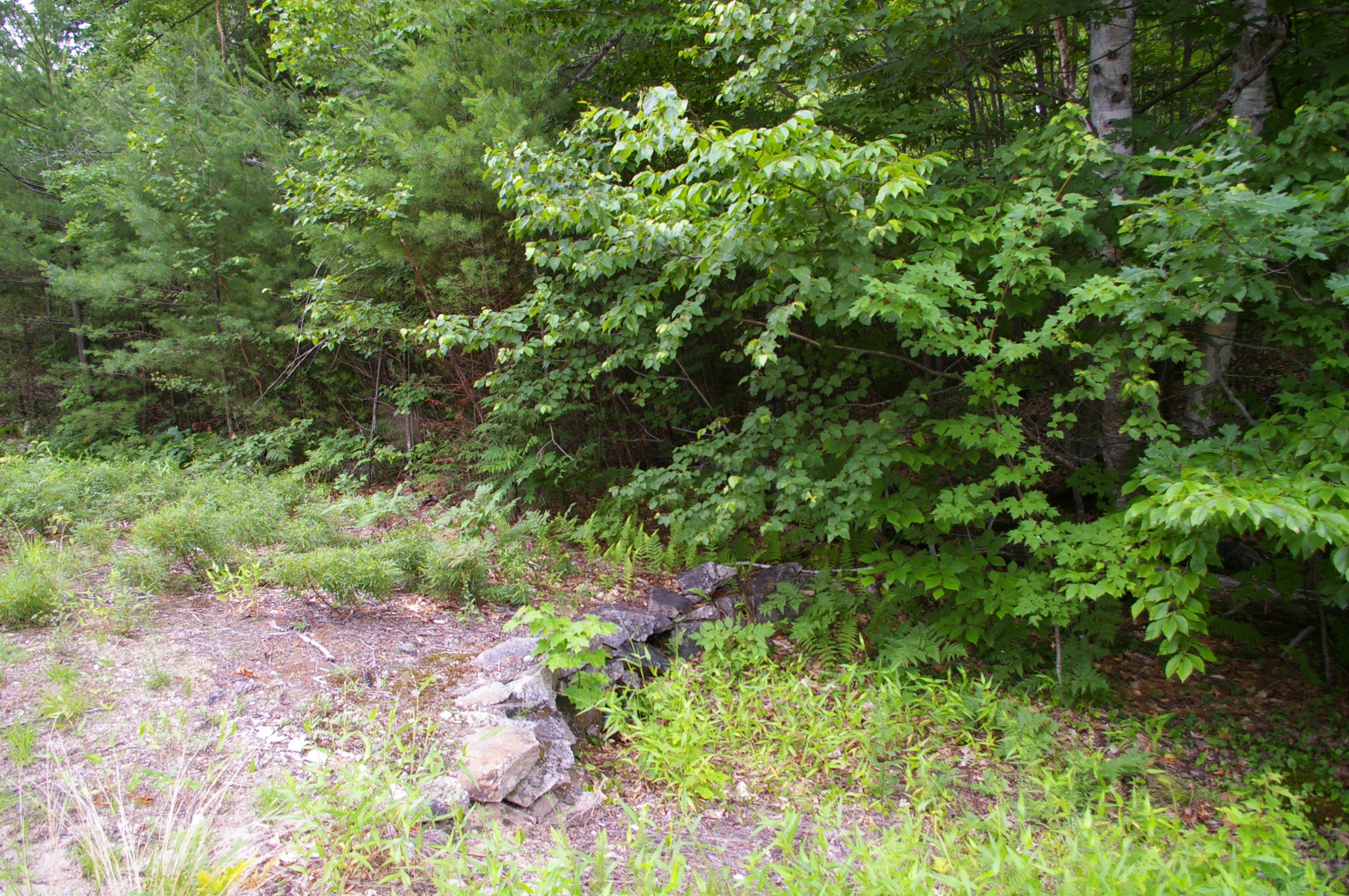 Lot#1 Fernald Hills Way Road Stow, ME 04037 - Photo 3 of 12 Lot#1