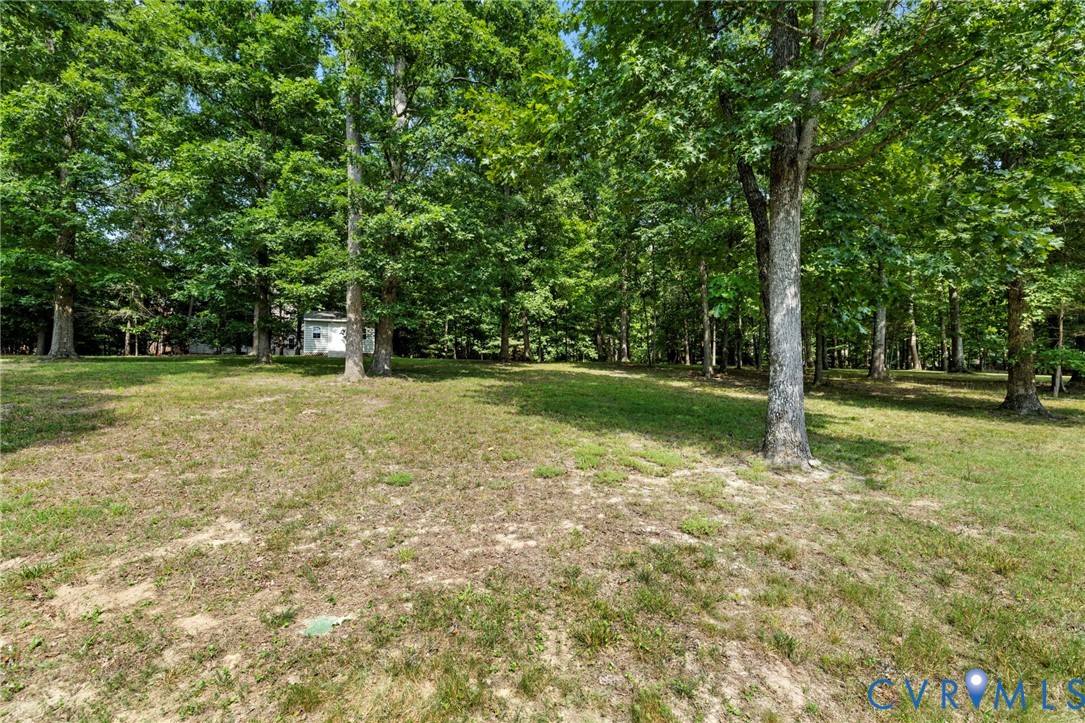 13524 Mountcastle Road Chesterfield, VA 23832 - Photo 30 of 44 Expansive wooded lot featuring mature trees and a