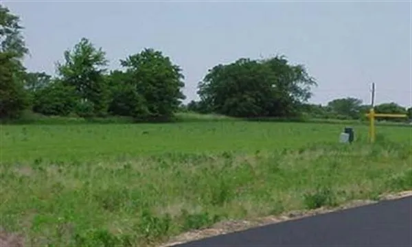 a view of a grassy field with trees