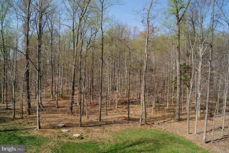 2004 Stockton Road Joppa, MD 21085 - Photo 29 of 30 Wooded View / Acreage 2