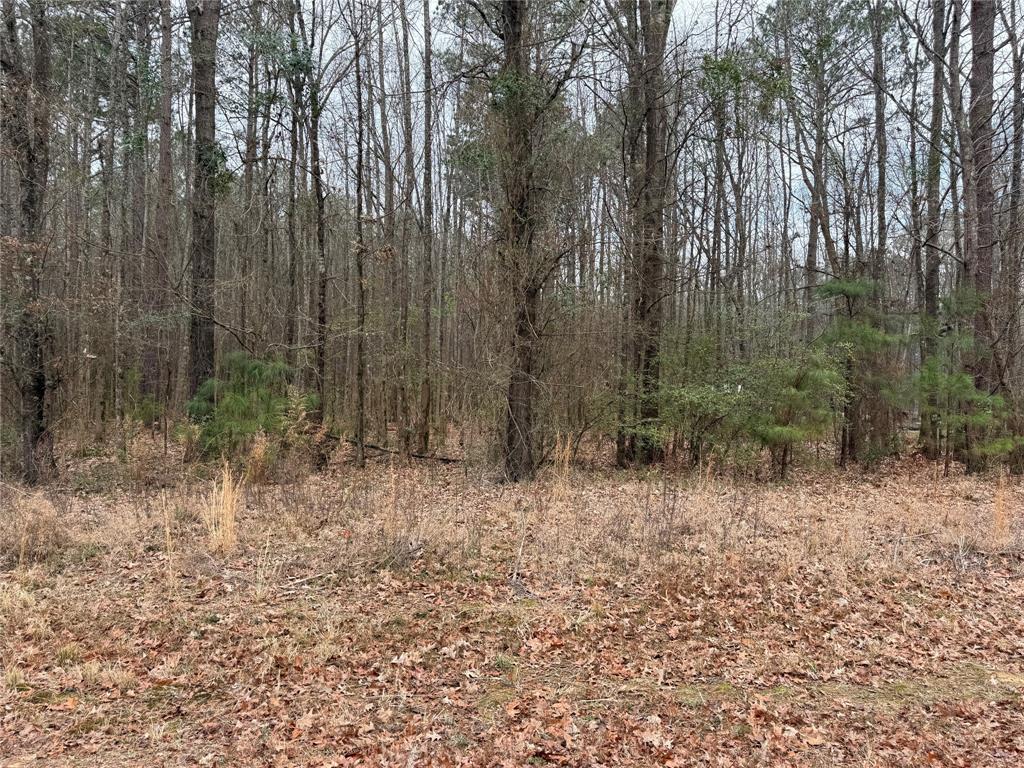 0 Highway 3 Plain Dealing, LA 71064 - Photo 11 of 32 a view of a yard with trees