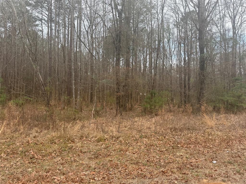 0 Highway 3 Plain Dealing, LA 71064 - Photo 13 of 32 a view of room with trees