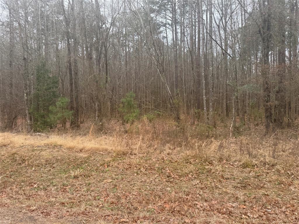 0 Highway 3 Plain Dealing, LA 71064 - Photo 14 of 32