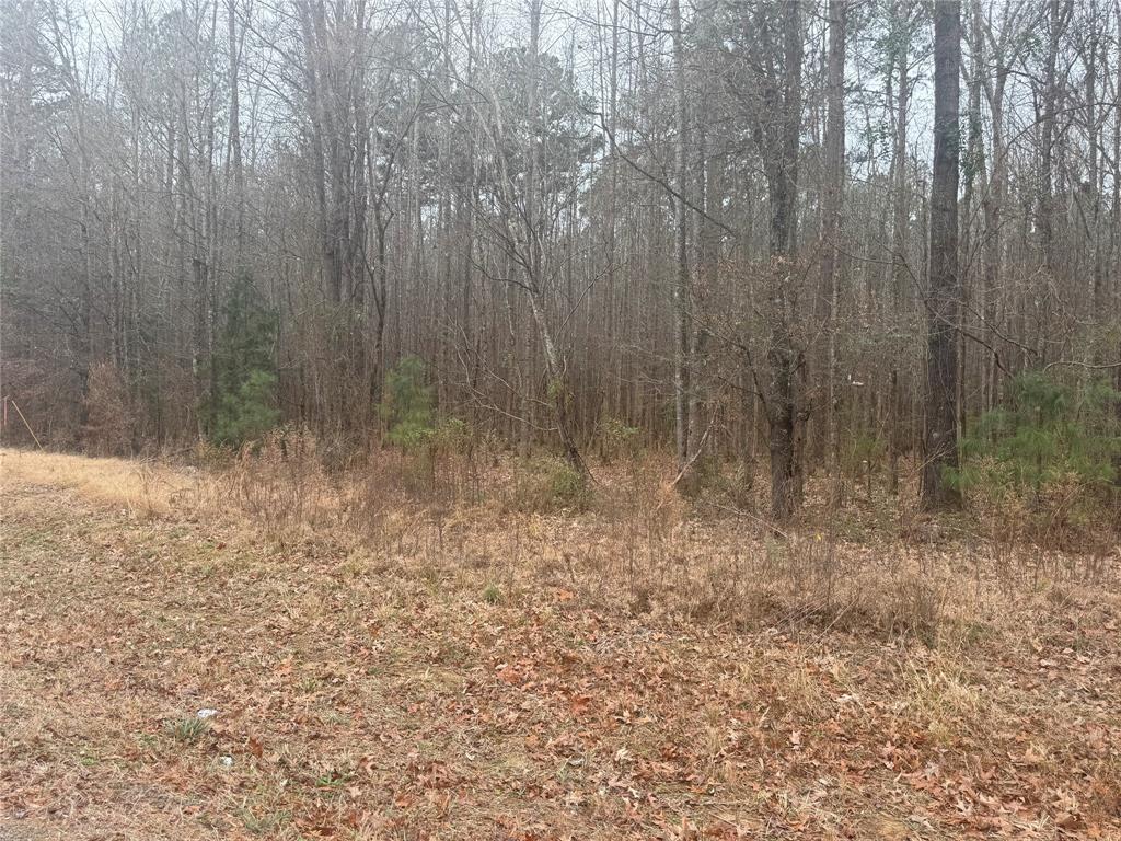 0 Highway 3 Plain Dealing, LA 71064 - Photo 15 of 32 a view of a room with trees in the background