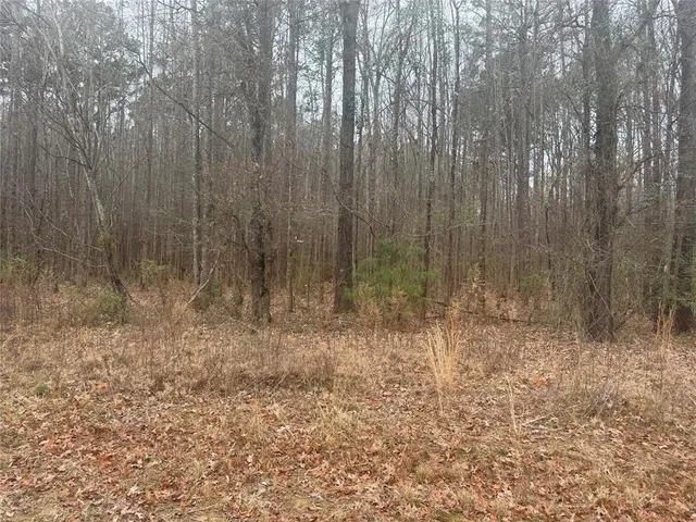 a view of a dry yard with trees