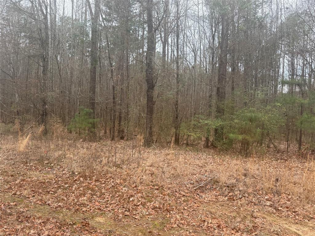 0 Highway 3 Plain Dealing, LA 71064 - Photo 18 of 32 a view of room with trees