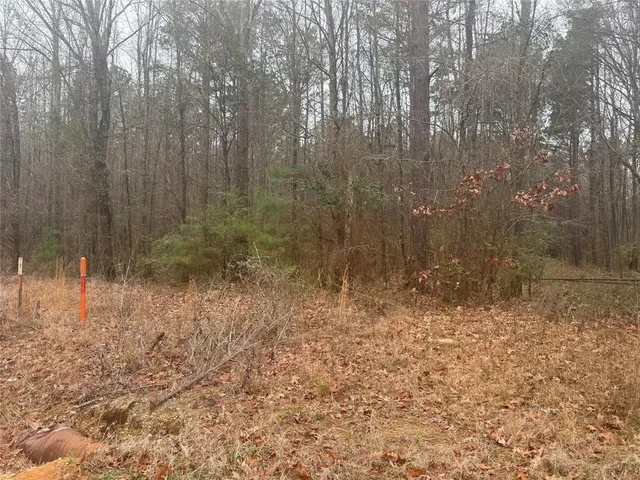 a view of a yard with trees in the background