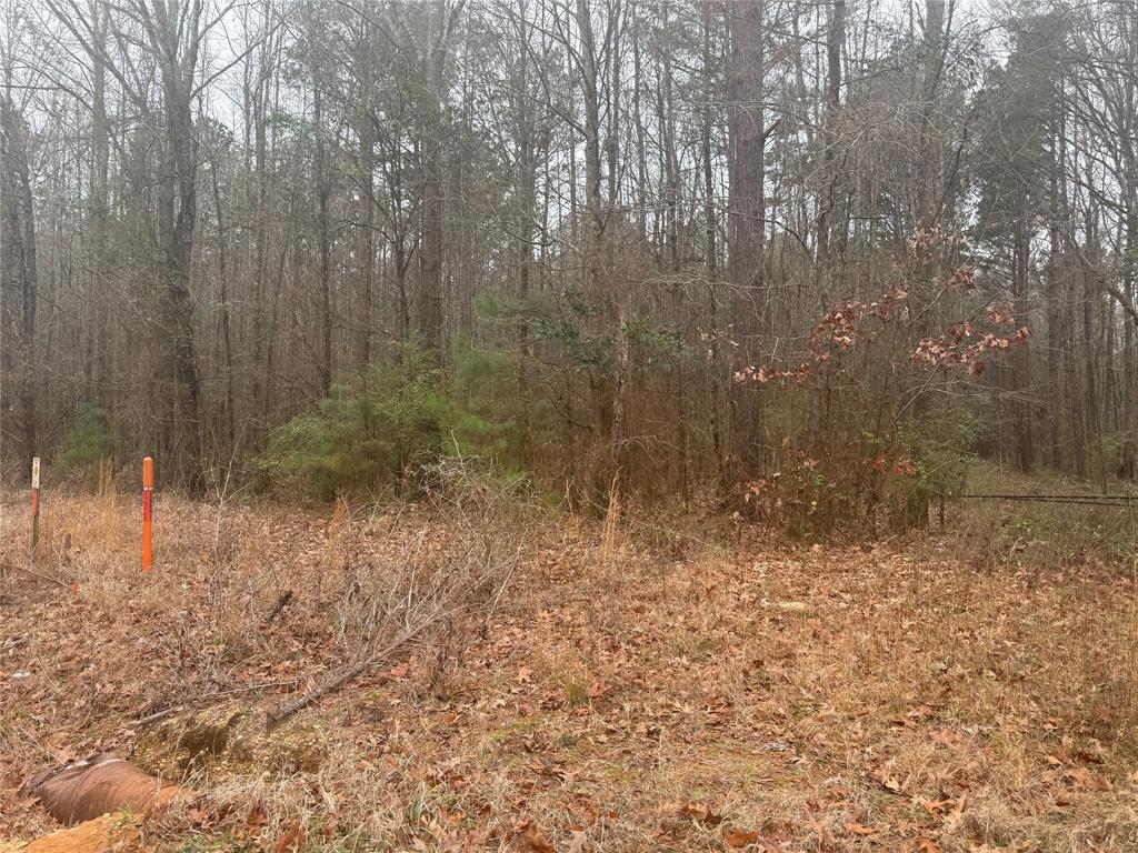 0 Highway 3 Plain Dealing, LA 71064 - Photo 19 of 32 a view of a dry yard with trees