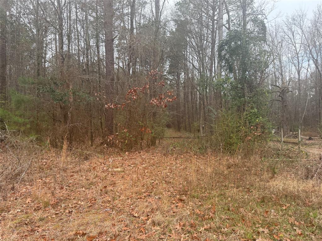 0 Highway 3 Plain Dealing, LA 71064 - Photo 20 of 32 a view of a dry yard