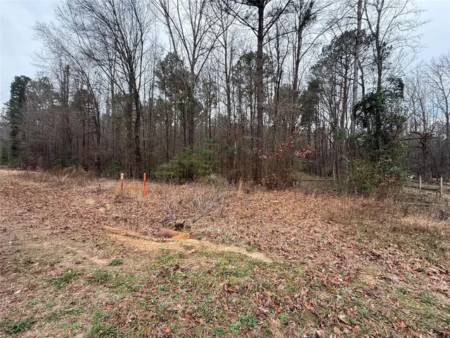 a view of backyard with green space