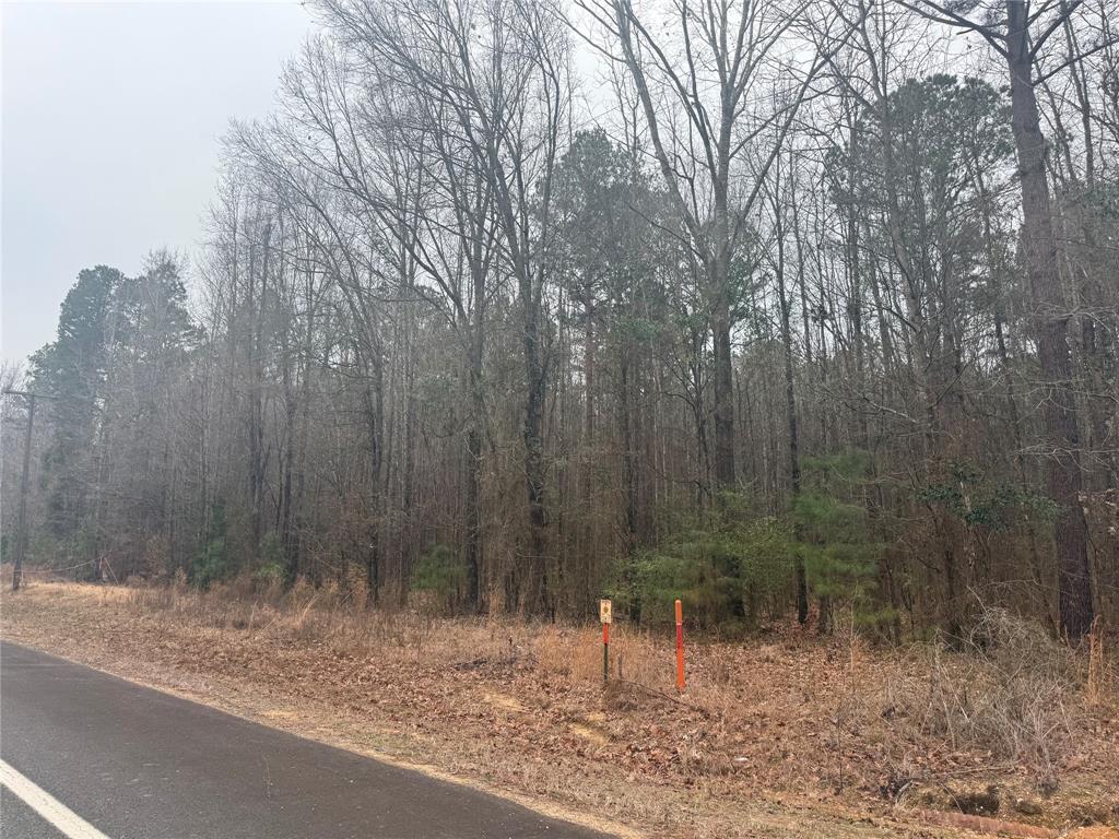 0 Highway 3 Plain Dealing, LA 71064 - Photo 21 of 32 a view of a yard with trees in the background