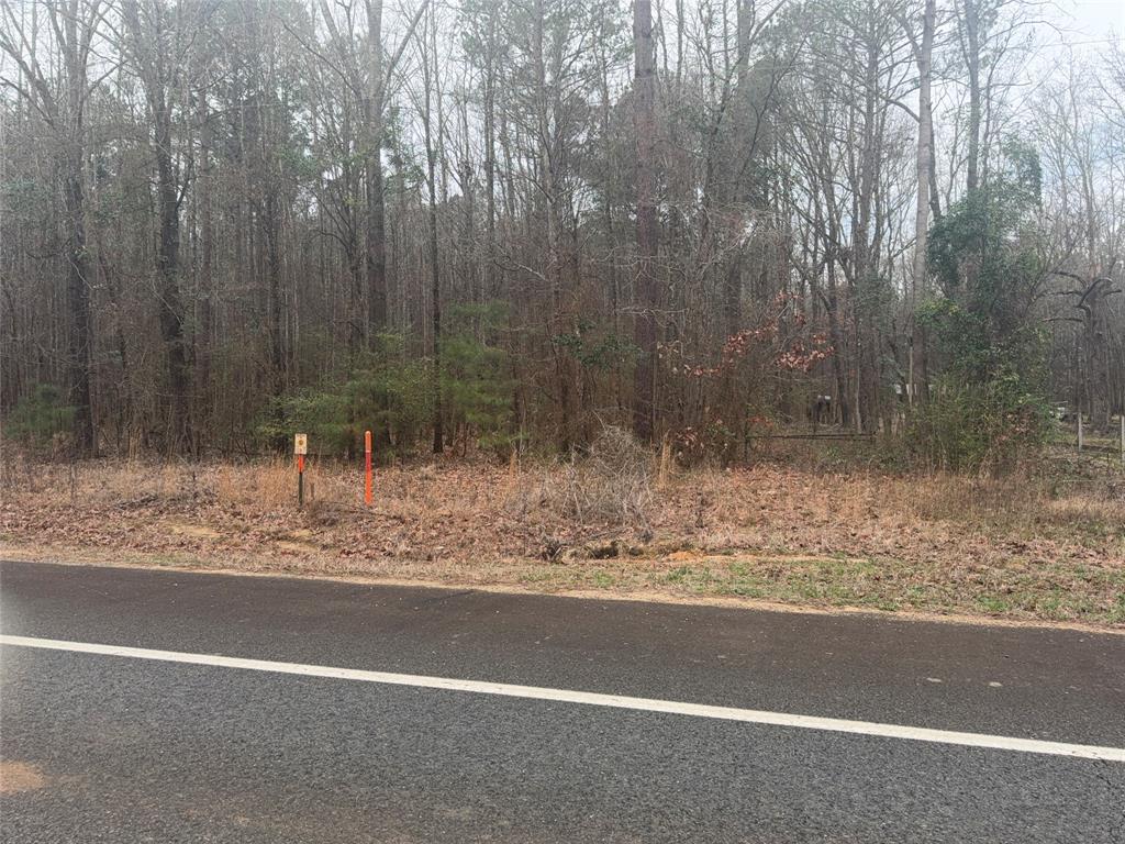 0 Highway 3 Plain Dealing, LA 71064 - Photo 23 of 32 a view of a yard with large trees