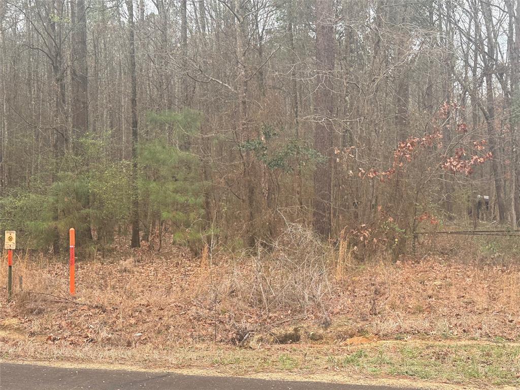 0 Highway 3 Plain Dealing, LA 71064 - Photo 24 of 32 a bathroom with a shower