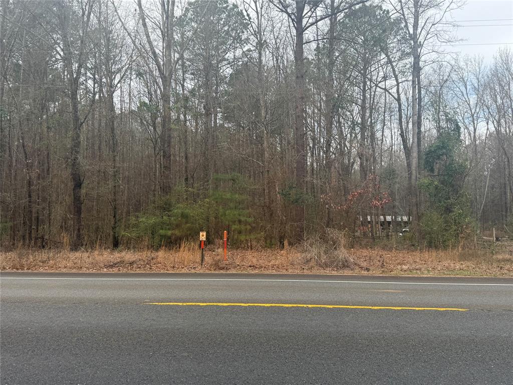 0 Highway 3 Plain Dealing, LA 71064 - Photo 26 of 32 a bathroom with a bathtub and shower